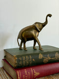 Brass Elephant smooth