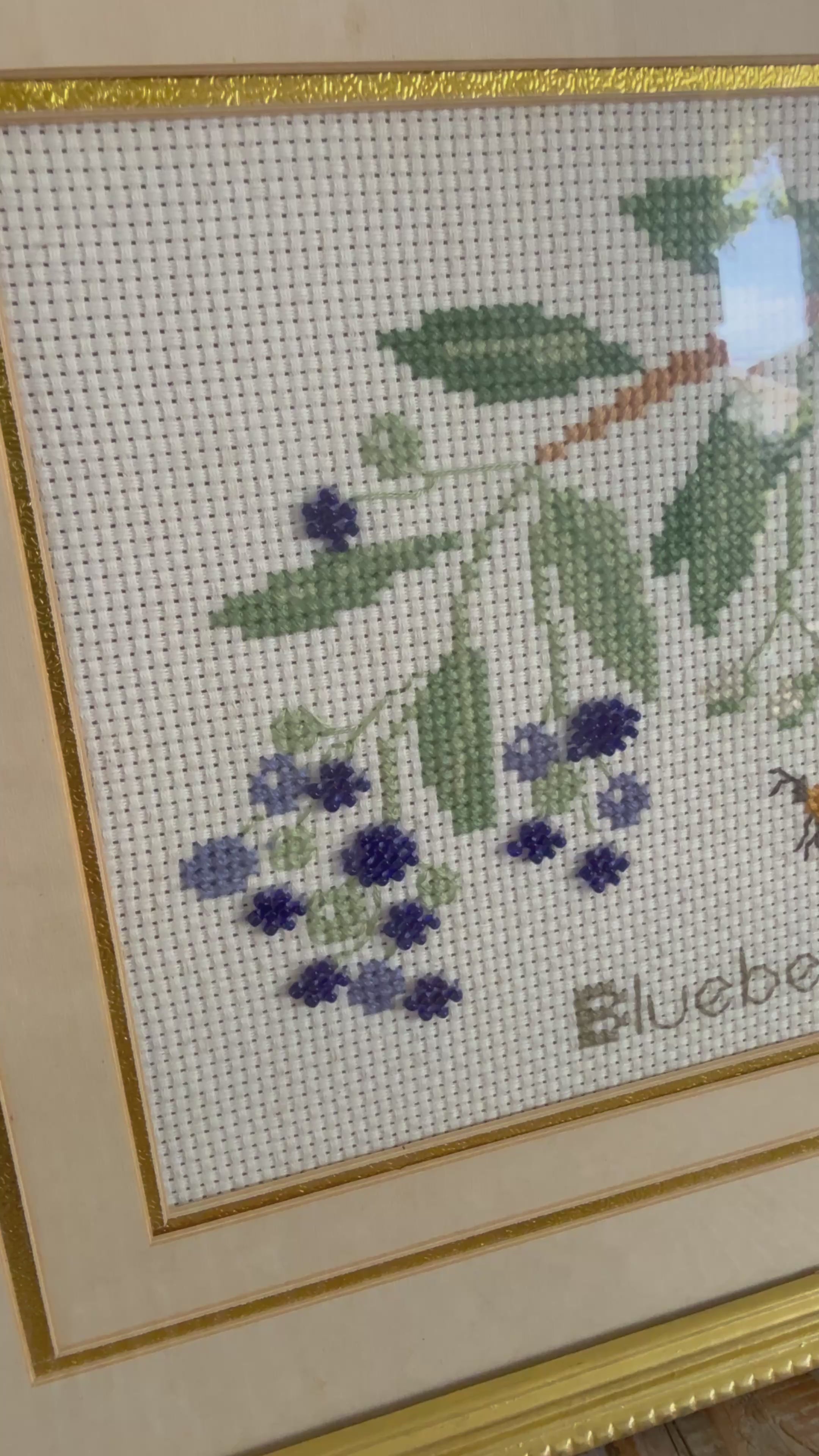 Blueberry Cross-Stitch